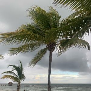 Meet your Posher, Polina